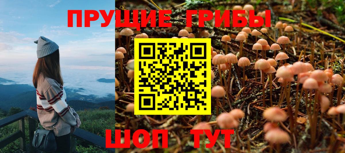 Ирбит  Галлюциногенные грибы GOLDEN TEACHER  Вход с VPN  Псилоцибиновые грибы ЛСД 